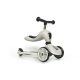SCOOT AND RIDE HIGHWAYKICK1. 2 IN 1 KISMOTOR/ROLLER ASH