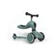 SCOOT AND RIDE HIGHWAYKICK1. 2 IN 1 KISMOTOR/ROLLER FOREST