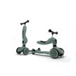 SCOOT AND RIDE HIGHWAYKICK1. 2 IN 1 KISMOTOR/ROLLER FOREST
