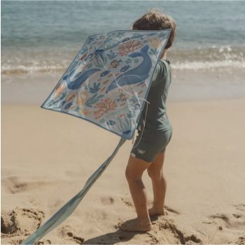 Little Dutch szélsárkány - Ocean World