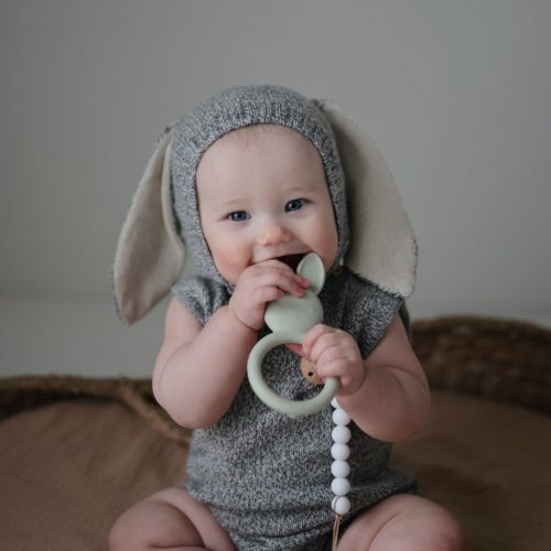 Állatos rágókat - 5 féle